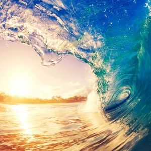 Meet your Posher, Tamara